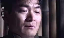 郎本无情在线观看,揭秘神秘爱情故事，在线观看带你领略情感纠葛